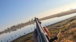 Mid October duck hunting. The best green heads (Spoonies!!!)