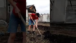 Как копать огород приколы #shorts