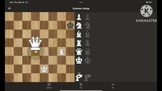 Chess: Check and Checkmate