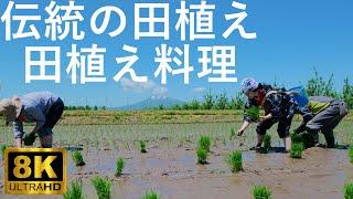 【津軽あかつきの会】伝統の田植えと津軽の郷土料理【青森県弘前市】8K