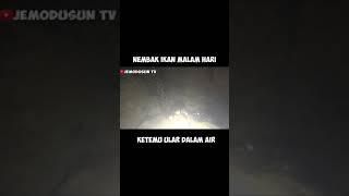 nembak ikan ketemu ular dalam air