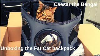 Unboxing and testing "The Fat Cat" backpack. Backpack bubble carrier for your cat!