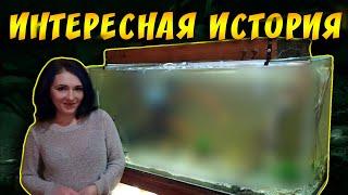 ПЕРВЫЙ АКВАРИУМ НОВИЧКА! ОШИБКИ НАЧИНАЮЩЕГО АКВАРИУМИСТА!