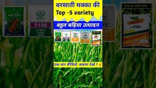 Barsati makka ki top -5 variety | Makka ki top -5 variety | Makka ki kheti | maize farming