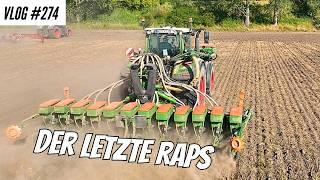 Vlog #274 The last rapeseed goes into the ground.