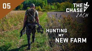 First Sit On A New Farm, Proven October Bow Hunting Strategies #hunting #deerhunting