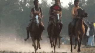 HORSE RACE IN BANGLADESH