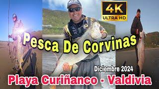 Pesca de Corvinas en Playa Curiñanco, Valdivia - Región de Los Ríos,  Chile.