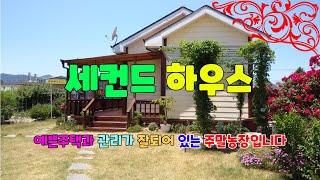 504 단구리 세컨하우스매매 아주 예쁘게 잘 가꾼 강동주말농장매매 마당에는 장미 넝쿨과 잔디가 있는  예쁜 경주주택 교통이 편리한 강동세컨하우스 경주부동산 지목부동산 강동부동산