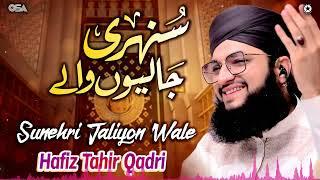 Sunehri Jaliyon Wale | Hafiz Muhammad Tahir Qadri | Best Famous Naat | OSA Islamic