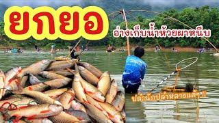 ยกยอ อ่างห้วยผาหนีบ ►Fishing lifestyle Ep.707