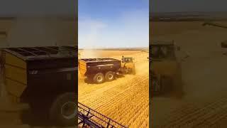 John Deere Team big harvesting ** #shorts #short #grow #viral #tractor #johndeere