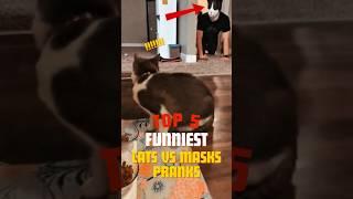 TOP 5 FUNNIEST Cats vs Masks PRANKS 