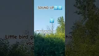 So many different sounds! #cuteanimal #birds #nature #wildlife