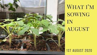 What we're sowing and growing in August