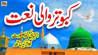 Sohneya Kabootra Tu Sohne de Darbar te | Lyrics Urdu | Usman Qadri | Naat Sharif | i Love islam