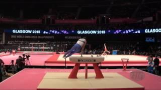 KUKSENKOV Nikolai (RUS) - 2015 Artistic Worlds - Qualifications Pommel Horse