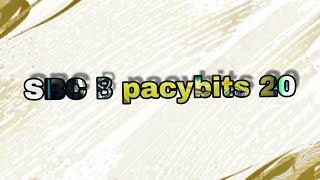 SBC В PACYBITS 20!(не СБОРКА)