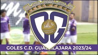 Goles C.D. Guadalajara 2023/24 2RFEF + Copa Federación