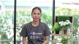 PM2.5 หมอกร้ายใกล้ตัว by Bcosmo The Pharmacy