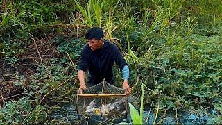 Thử Thách Đặt Bẫy Ở Đầm Hoang Không Ngờ Dính Toàn Thuỷ Quái Sống Lâu Năm 