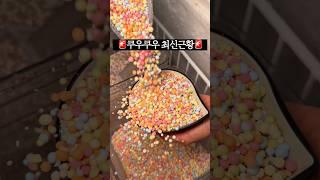 쿠우쿠우골드 최신근황