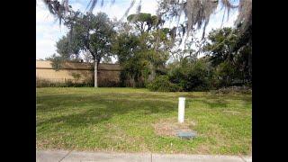 Homes for sale - 5443 GRAND BLVD, NEW PORT RICHEY, FL 34652