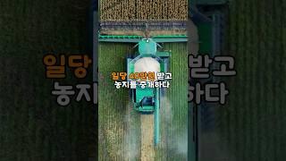 일당 40만원 받고 농지 중개하다 불법 용도변경 시도 포착 #shorts