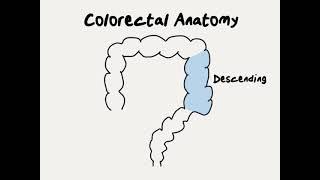 Doctor Explains Colorectal Cancer Treatment