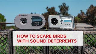 OVERVIEW: EFFECTIVE SOUND BIRD DETERRENTS | Bird Distress Calls & Hawk Calls | Bird B Gone Products