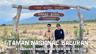 TAMAN NASIONAL BALURAN SITUBONDO FULL REVIEW 2024 | AFRICA VAN JAVA DAN SATWA YANG MEMPESONA