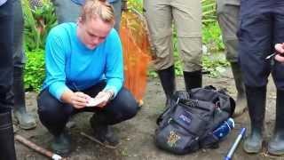Biodiversity & Development in the Amazon, Peru: The School for Field Studies