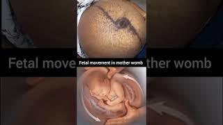 fetal movement in mother womb #baby #pregnant #women #movement