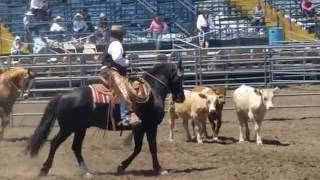 Glynna Ranch Horse run Skills 2016