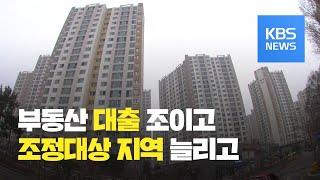 경기 서남부 5곳 조정대상 지역 지정…대출규제도 강화 / KBS뉴스(News)