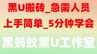 |黑产网赚|灰产,最稳定的跑分项目#正规项目泰达币USDT#如何在线赚钱##黑U购买渠道,#兼职|#76个偏门小生意 #网络赚钱，#创业##撸羊毛|#网络赚钱