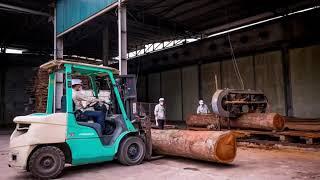 Thermally Modified Timber (Thermowood) Manufacturer