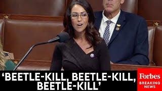 VIRAL MOMENT: Lauren Boebert Appears To Crack Beetlejuice Joke On House Floor