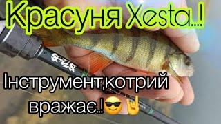 ОГЛЯД на Xesta TZ tuned s 72s…!!