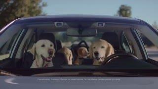 Subaru Dog Tested | Subaru Commercial | Phone Navigation