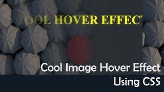 Css Image Hover Effects - Pure Css Tutorial | NoorHUB