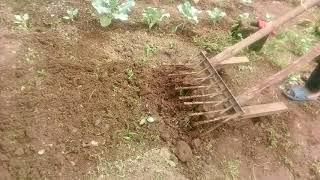 Amazing Agricultural Tools (Manual Hand Plough/Tiller ) No till farming