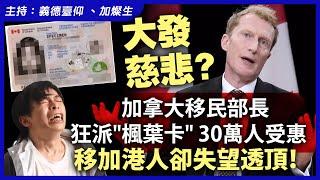 大發慈悲？加拿大移民部長狂派"楓葉卡" 30萬人受惠，移加港人卻失望透頂！