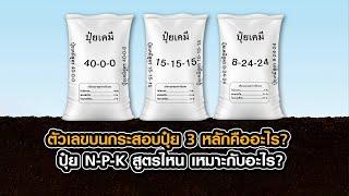 ตัวเลขบนกระสอบปุ๋ย 3 หลักคืออะไร?? ปุ๋ย N P K สูตรไหน!!  เหมาะกับอะไร??