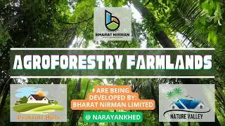 Agroforestry Farmlands are Being Developed by Bharat Nirman Limited at Narayankhed, Telangana, India