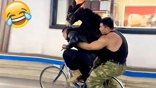 BEST OF THE MONTH #11 - Hilarious People's Life  TRY NOT TO LAUGH  PHD