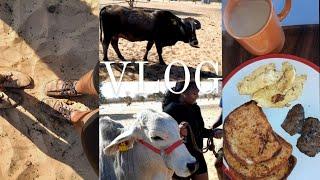 VLOG | A weekend at the farm| Namibian youtuber |