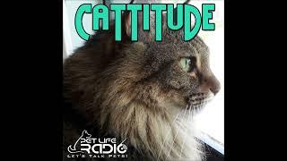 Cattitude - Episode 127 Purrfectly Impurrfect on National Cat Day