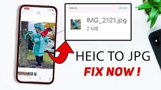 iPhone HEIC to JPG the Easy Way Without Losing Photo Quality!