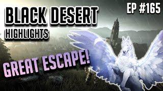 The Great Escape - Black Desert Highlights and Funny Moments #165